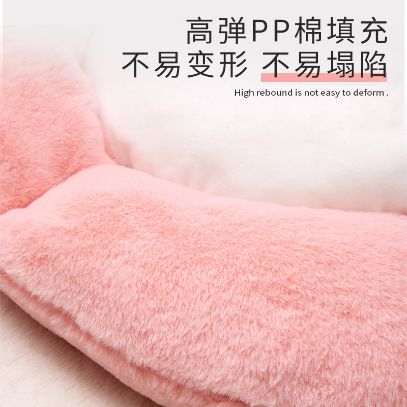 PET MAT