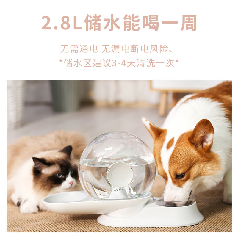 PET TABLEWARE